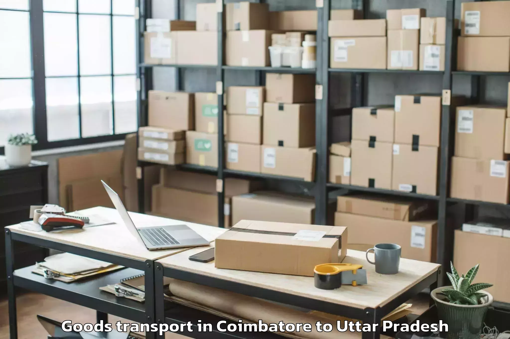 Quality Coimbatore to Samthar Goods Transport